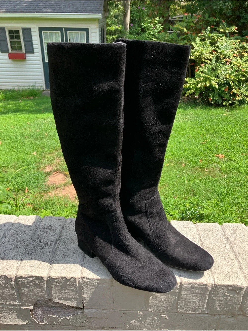 Anne Klein iFlex “Camden” Black Suede Knee-High Boots | Gold Zip  | Size 7.5